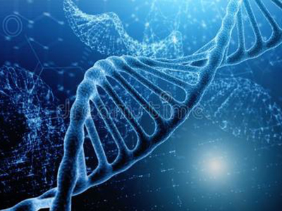 有哪些​IGCSE生物常考题型真题呢？这些真题的回答套路赶紧记下来