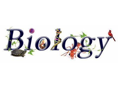 如何复习ALEVEL生物考试？5个小技巧帮你稳过大考和预估打分