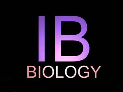 IB生物paper2怎么复习？复杂问题的简单小技巧快收下
