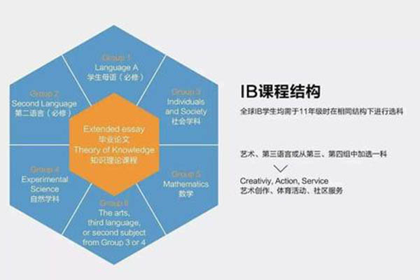 IB中文A课程应该选LL还是LIT？先来了解一下这两者的区别吧内容图片_2