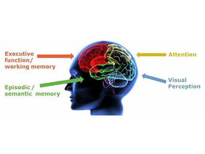AP心理学真题解析，8道选择题带你复习Cognition