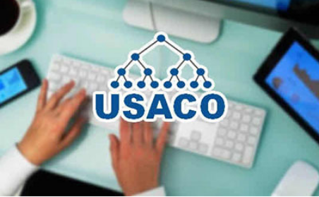 USACO和NOIP有什么区别？USACO组别多 对新手更友好内容图片_1