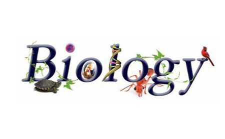 如何复习ALEVEL生物考试？5个小技巧帮你稳过大考和预估打分内容图片_1
