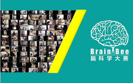 Brain Bee脑科学大赛如何准备？让前2%获奖选手告诉你内容图片_1