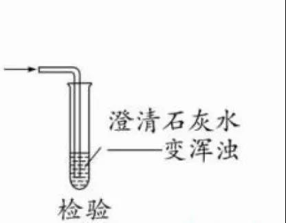 如何复习IGCSE化学考试实验部分？Chemical test攻略在此内容图片_2