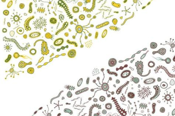 盘点那些IB生物复习难点 你的生物拿不到7分的原因都在这里了内容图片_2