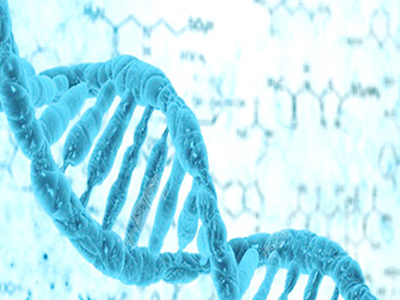 7分选手总结的IB生物答题技巧  不看小心错过7分