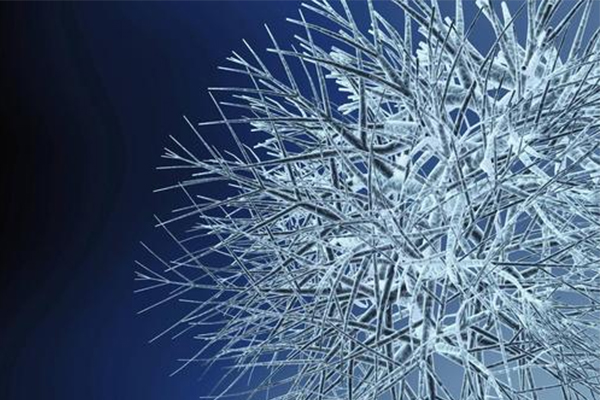 Alevel生物考前冲刺方法介绍  你的冲刺阶段认准这3个方法内容图片_2