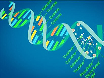 IB生物选择题做题方法有哪些？这几个方法来帮你