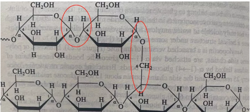 Alevel生物中的化学结构讲解 这份图文版的结构讲解赶紧收好内容图片_2