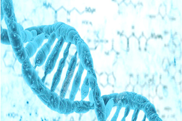 7分选手总结的IB生物答题技巧  不看小心错过7分内容图片_1