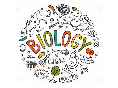 IB生物考点整理，1篇总结完遗传学所有考法