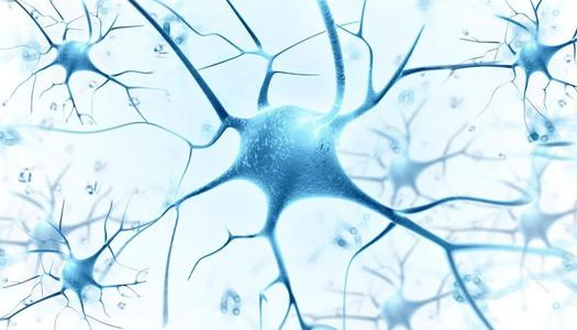 如何又好又快的回答IB生物简答题？这几个平时的准备工作要做好内容图片_2