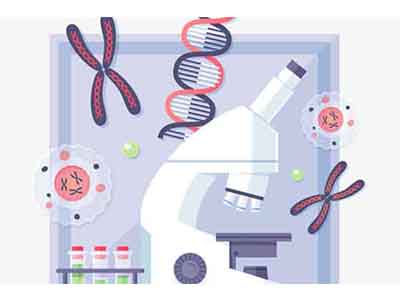 Alevel生物光合作用知识点讲解  教你如何快速理解光合作用