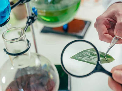 IB生物考试过7分的前提——语言关,该如何更快进步?