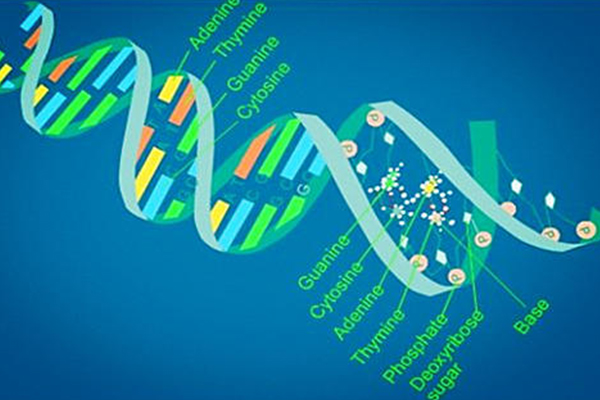 Alevel生物实验试剂知识点汇总 这25个实验试剂考试经常会考哦  内容图片_1
