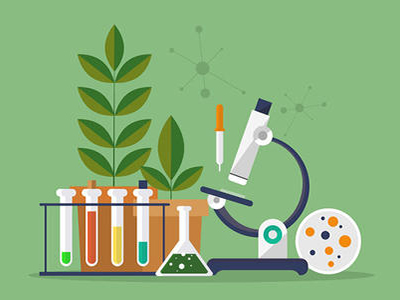 Alevel生物植物生殖知识点讲解  这15条常考的名词解释你都会了吗