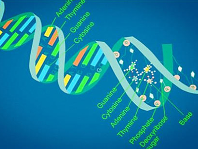 Alevel生物实验试剂知识点汇总 这25个实验试剂考试经常会考哦