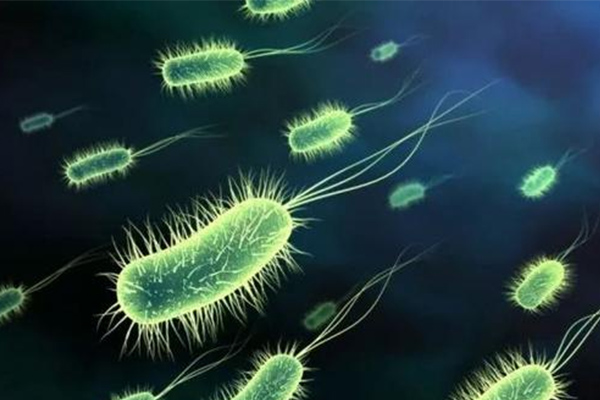 历年真题出现过的AP生物词汇分享 考理想分的同学都已经背熟了内容图片_1