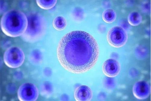 IB生物有机物知识点分享  你的有机化学部分都吃透了吗内容图片_2