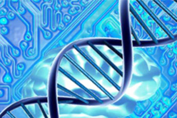 ​适用于考试的Alevel生物写作方法推荐  想涨分的同学必备哦内容图片_2