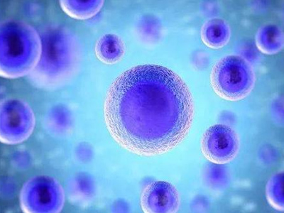 IB生物基因知识点讲解  书本上的基因点都在这里为你总结好了