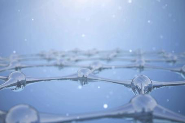 IB生物DNA分子结构知识点讲解 这个知识点可是IB生物学员必背的内容图片_2