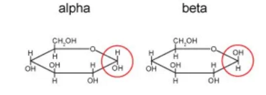 Alevel生物中的化学结构讲解 这份图文版的结构讲解赶紧收好内容图片_1