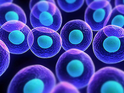 Alevel生物细胞增殖考点揭秘 赶紧收下这份详细的知识点讲解指南