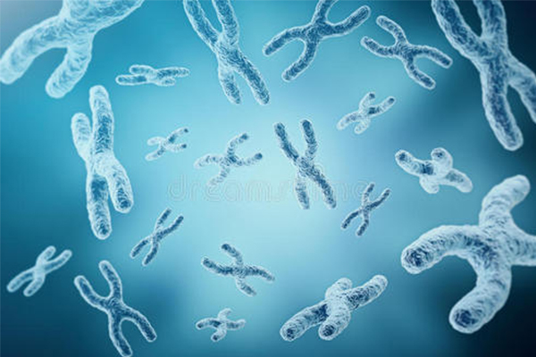 7分选手总结的IB生物答题技巧  不看小心错过7分内容图片_2