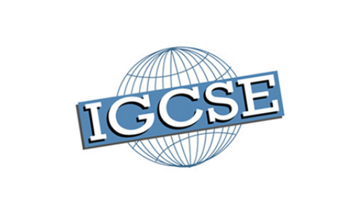 IGCSE中文考什么？阅读理解和写作内容图片_1