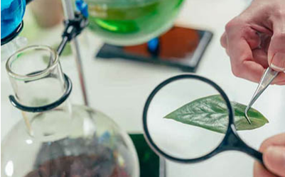 IB生物考试过7分的前提——语言关,该如何快速攻克?内容图片_1