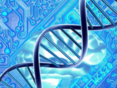 ​适用于考试的Alevel生物写作方法推荐  想涨分的同学要备哦