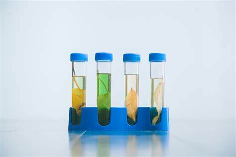 ALEVEL生物考试实验卷怎么答 画图细节很重要