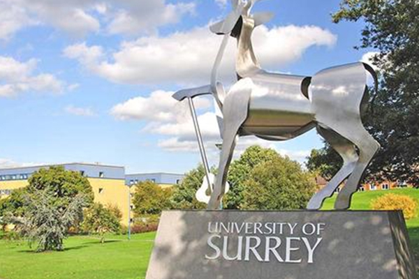 英国萨里大学本科申请要求汇总 这个优质专业的申请要求堪比牛剑内容图片_2