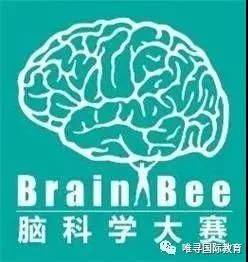 BrainBee脑科学大赛如何准备？获奖者强调把书读细很重要内容图片_3