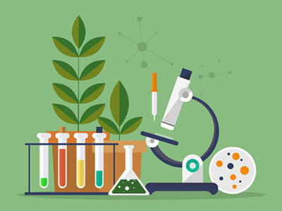 怎么准备​AP生物实验呢？这几个常考的生物实验一定要记熟