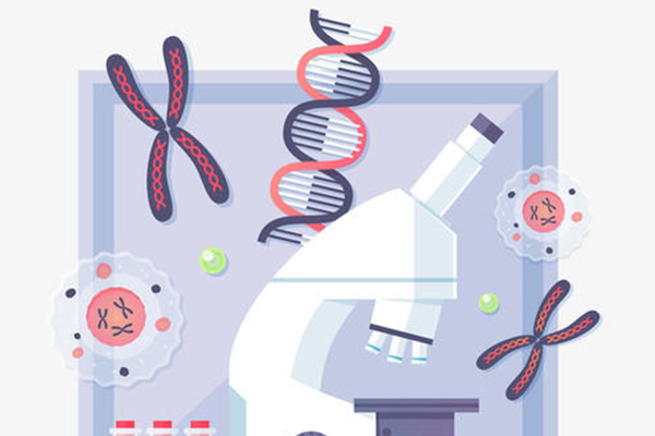 IB生物同位素知识点讲解 这部分的知识并不是简单的背诵就行的内容图片_1