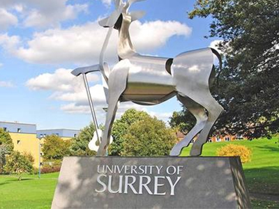英国萨里大学本科申请要求汇总 这个优质专业的申请要求堪比牛剑