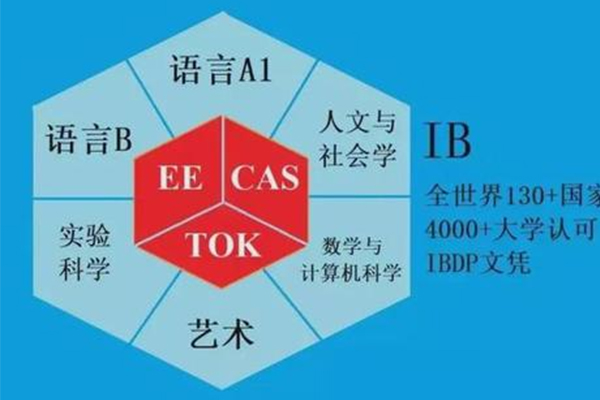 怎么学IB中文A这门课程呢？先从分析作品开始入手吧内容图片_1