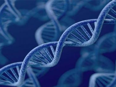 AP生物简答题答题步骤 来看看真题都应该怎么答  ​