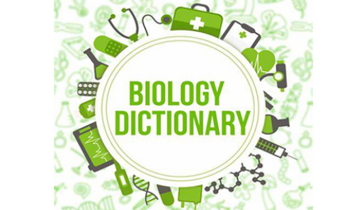 IGCSE生物难点有哪些 重中之重是词汇内容图片_1