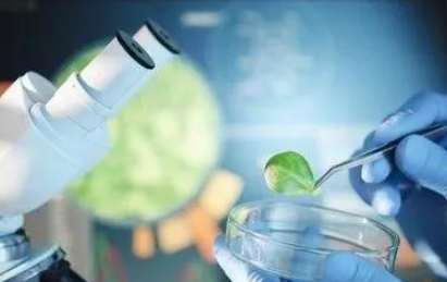 IGCSE生物考试范围 出题特点整理 漏掉哪个都无缘A*内容图片_1