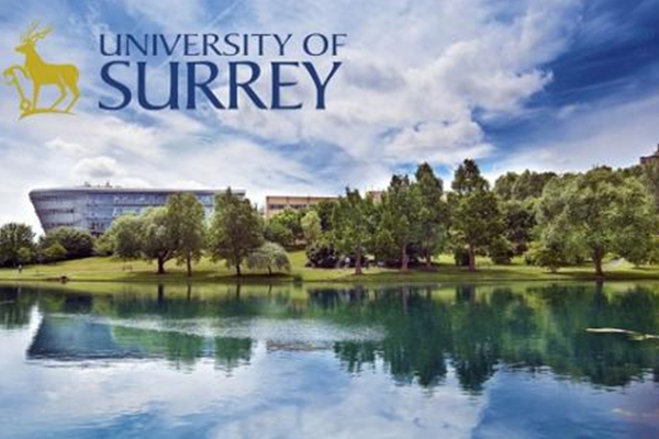 英国萨里大学本科申请要求汇总 这个优质专业的申请要求堪比牛剑内容图片_1