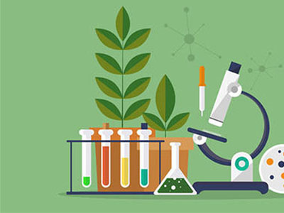 Alevel生物学习网站推荐 这些生物学习资源你还在错过吗