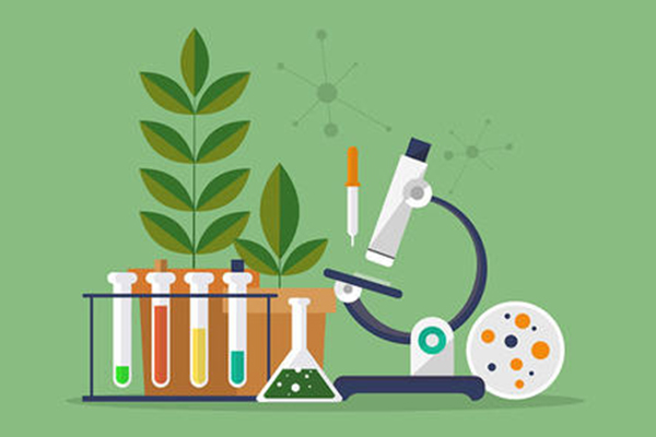 怎么准备​AP生物实验呢？这几个常考的生物实验一定要记熟内容图片_1