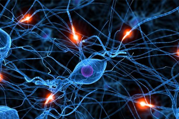 Alevel生物实验卷答题事项 考虑周全才能拿A星内容图片_2