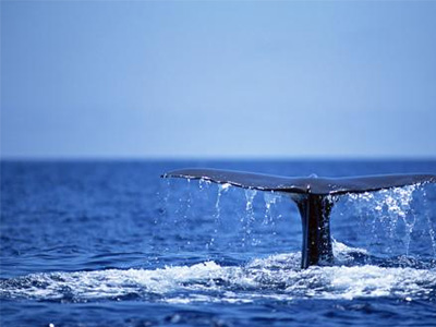 AP生物选择题题型分类  这5类题型需要你平时多多钻研