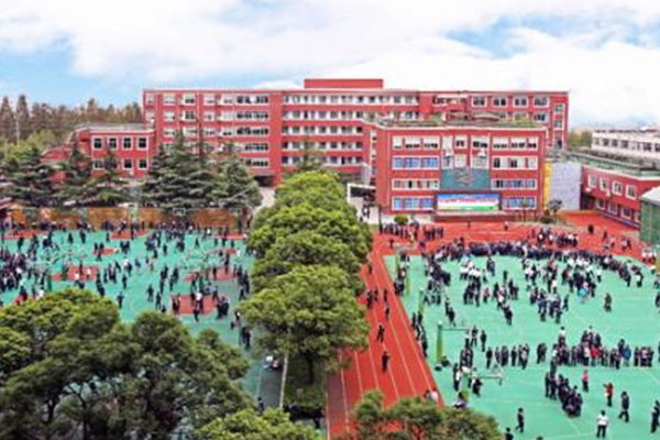 2021年西南位育国际部秋招考试时间与4月24日开启 带你回顾前几场的秋招真题内容图片_2