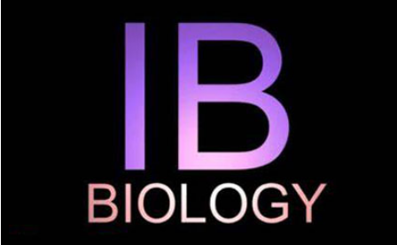 IB生物paper2怎么复习？复杂问题的简单小技巧快收下内容图片_1